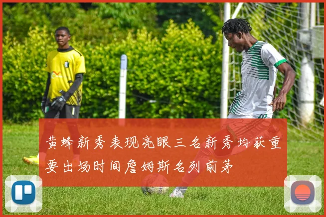 黄蜂新秀表现亮眼三名新秀均获重要出场时间詹姆斯名列前茅