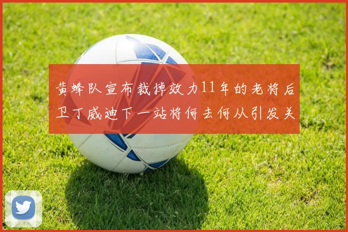黄蜂队宣布裁掉效力11年的老将后卫丁威迪下一站将何去何从引发关注