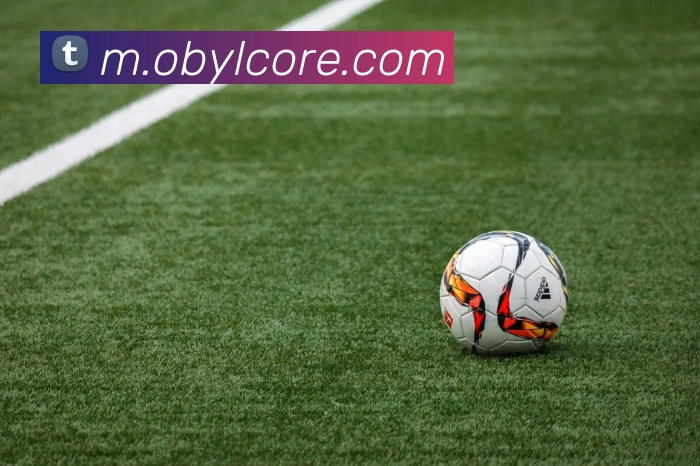 App Interface Preview